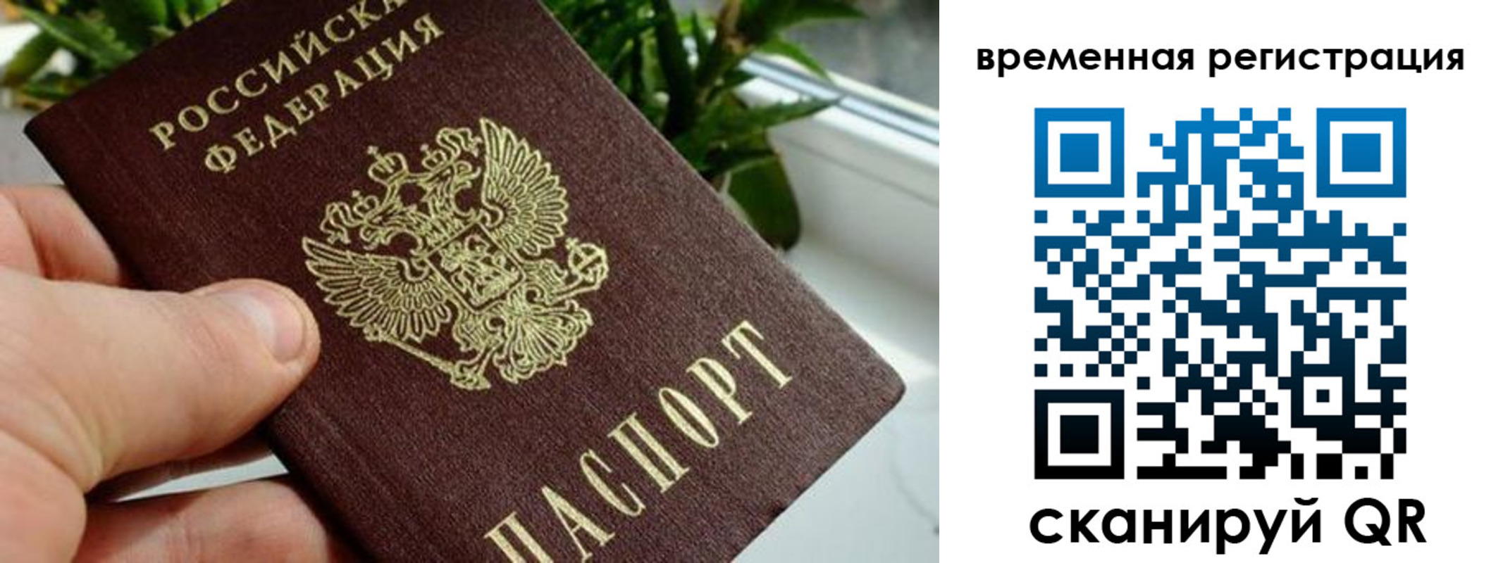 прописка поиск в Плавске